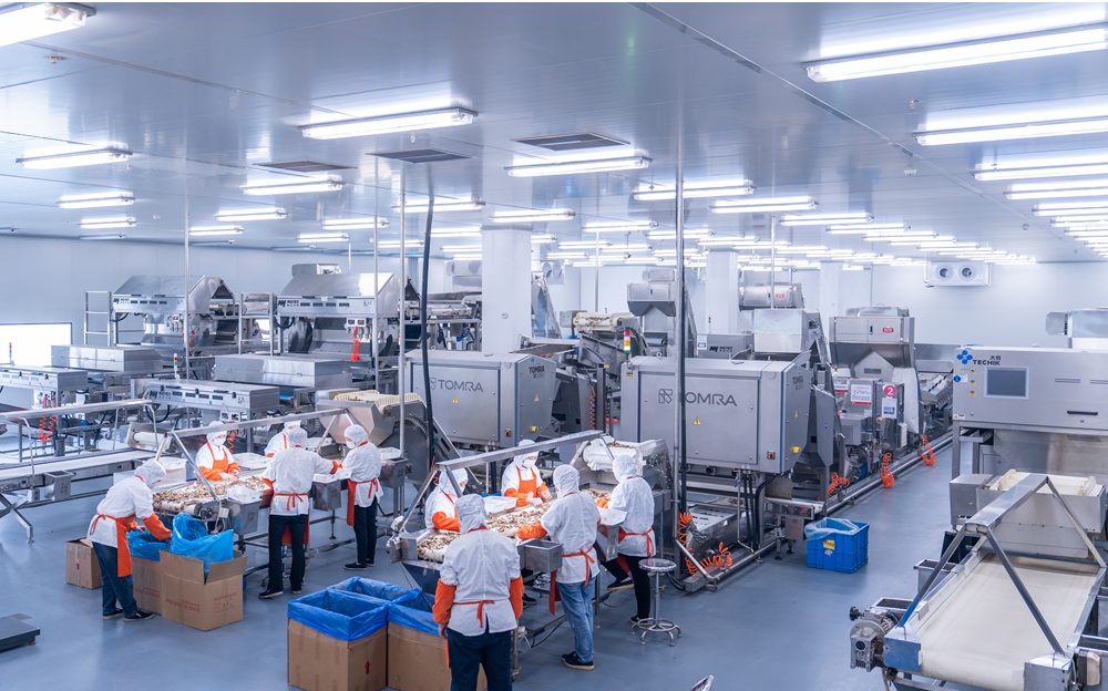 mushroom processing factory.jpg