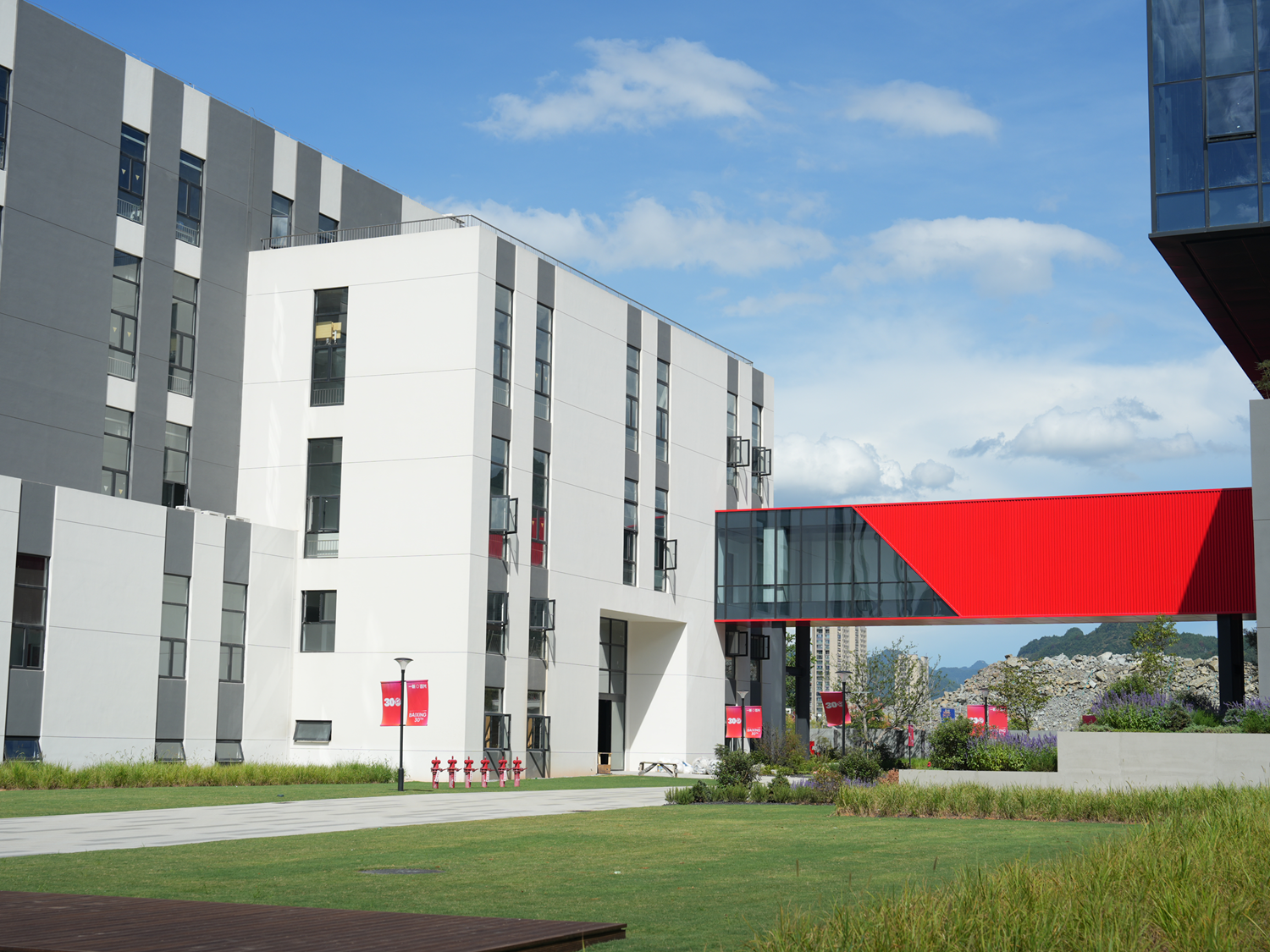 bulk mushroom-extract factory.png