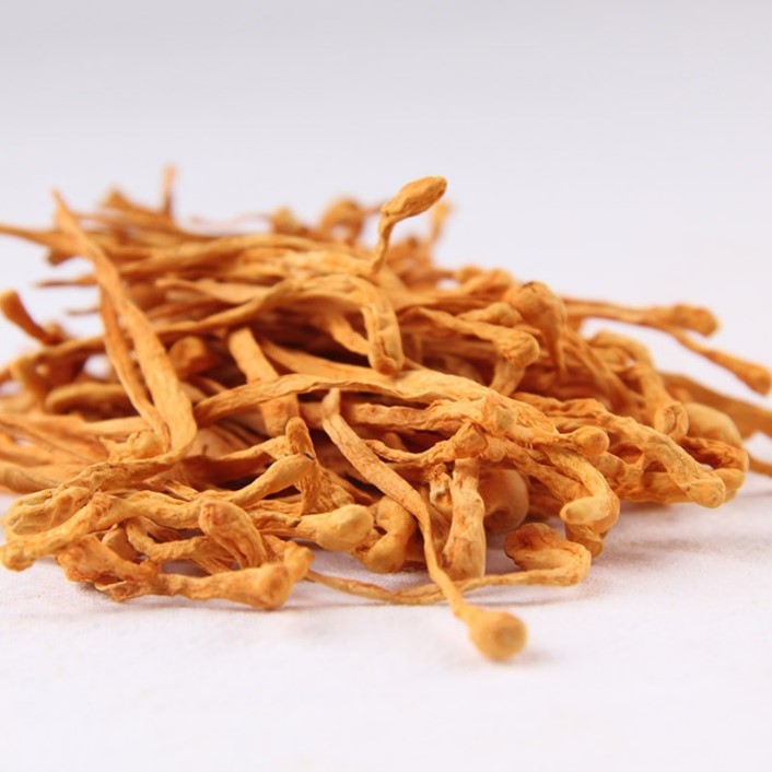 Premium Dried Cordyceps Mushroom