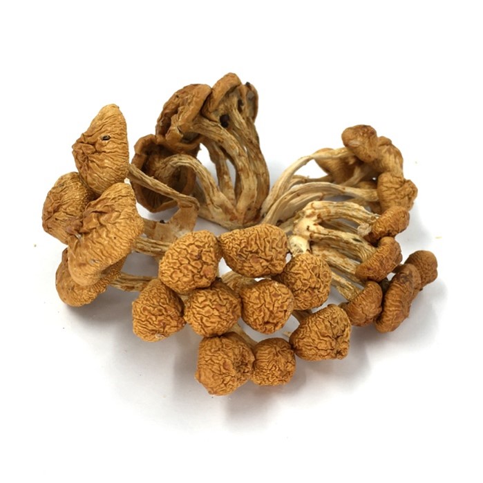 Dried Nameko Mushroom